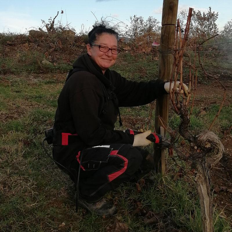 Viticulteur et négociant en région Auvergne-Rhône-Alpes