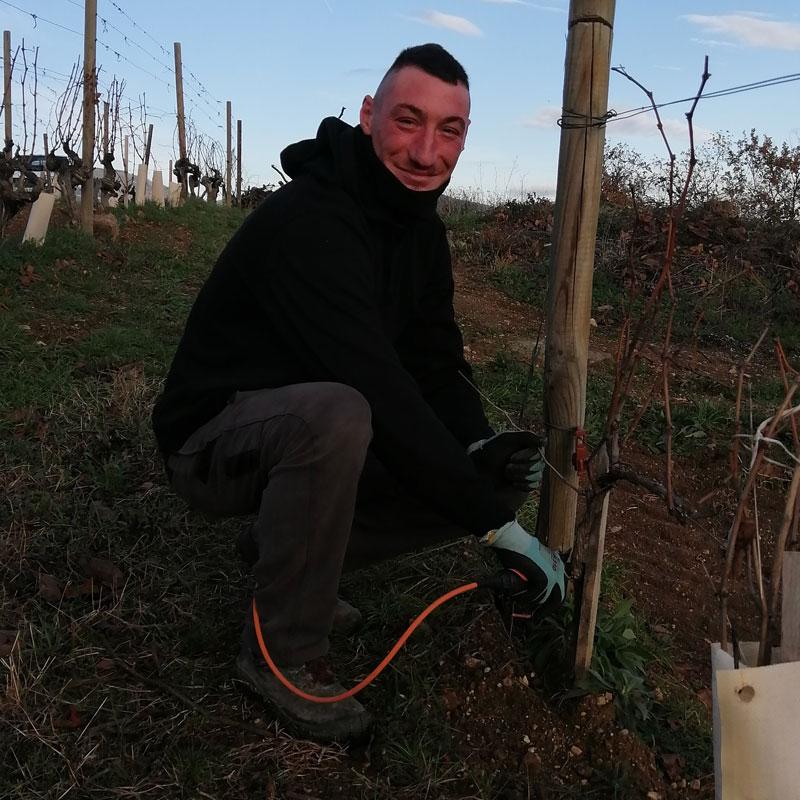 Viticulteur et négociant en région Auvergne-Rhône-Alpes