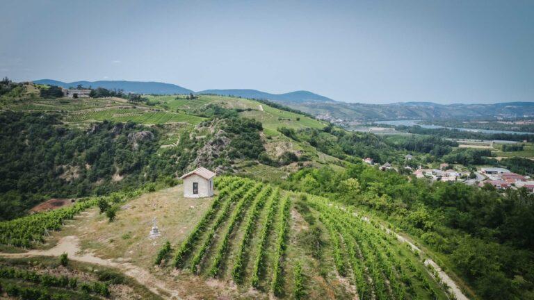 Visite en drone vignoble A. PARET juin 2023